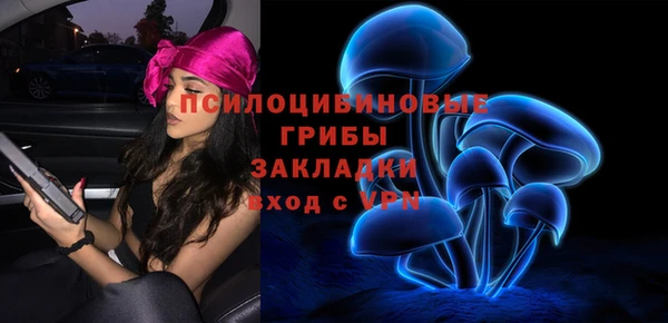 тгк Абинск