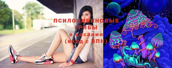 тгк Абинск